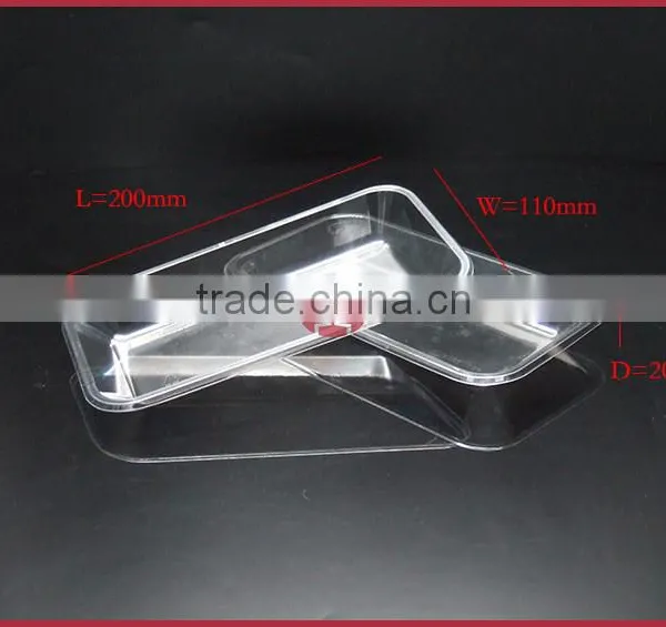 Disposable Products Plastic PET Blister Food Packaging Trays DY-PB002 Transparent photo-5