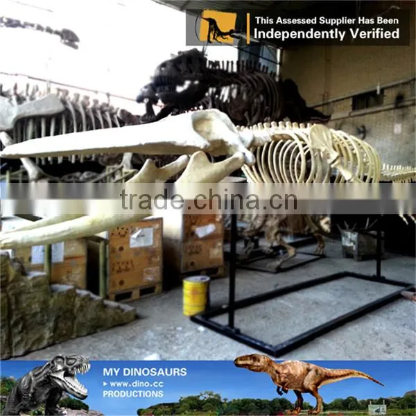 MY Dino-C078 Aquarium Life Size Fish Skeleton photo-3