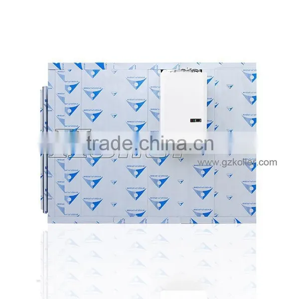 Easy Installation Cold Chiller Room With Mono Block Condensing Unit photo-2
