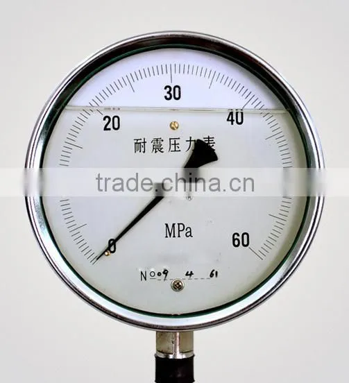 Y-60B-FZ Corrosion Proof Pressure Gauge photo-2