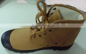 Canvas Shoes