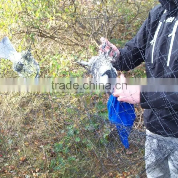 Bird Net /Bird Net Manufacturer/bird Garden Protection Net photo-2