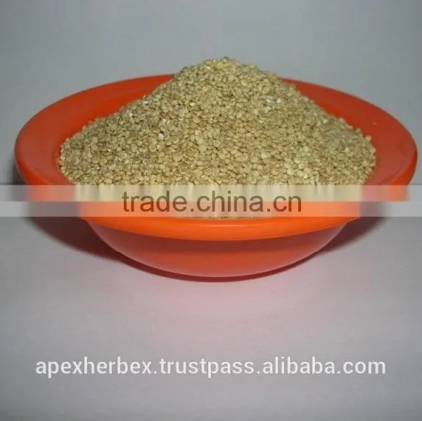 Quinoa Grain / Chenopodium Quinoa / Quinoa Grain /Quinoa Bulk Grain photo-5