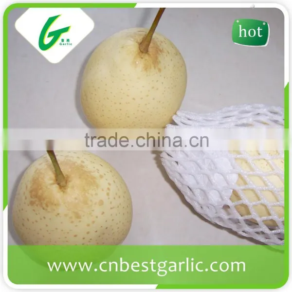 HACCP Passed. Chinese Bulk Export Fresh ya Pear photo-4