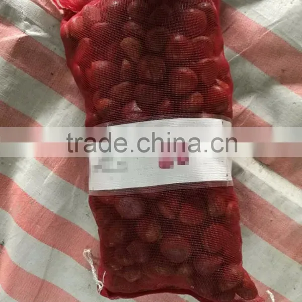 2016 New Crop Fresh Chestnuts HACCP Gap Kosher EU Standard photo-3