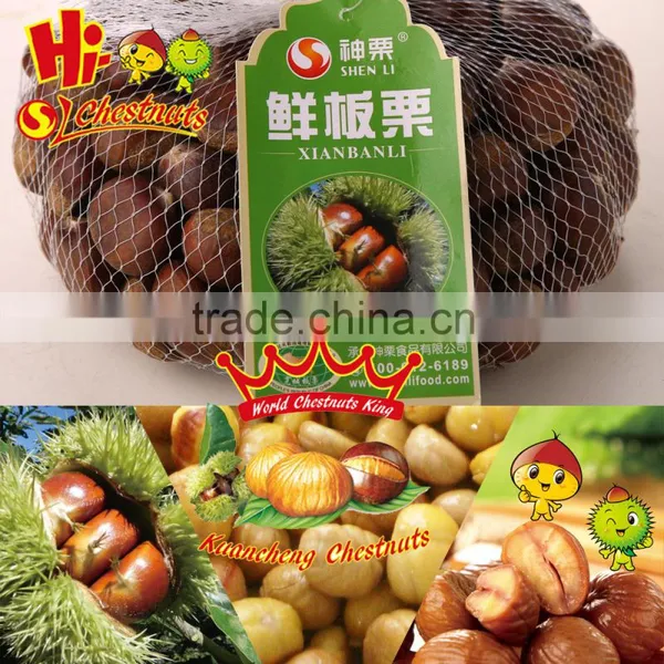 Best Chinese Chestnuts for Sale--Organic Kuancheng Chestnuts photo-4