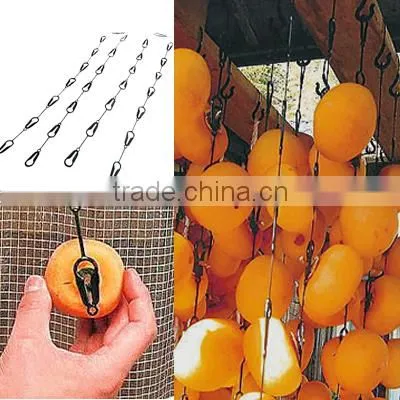 Japanese Kaki Persimmon Fruit Drying Clip Made in Japan photo-6