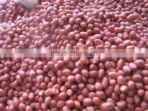 Peanut Price photo-2