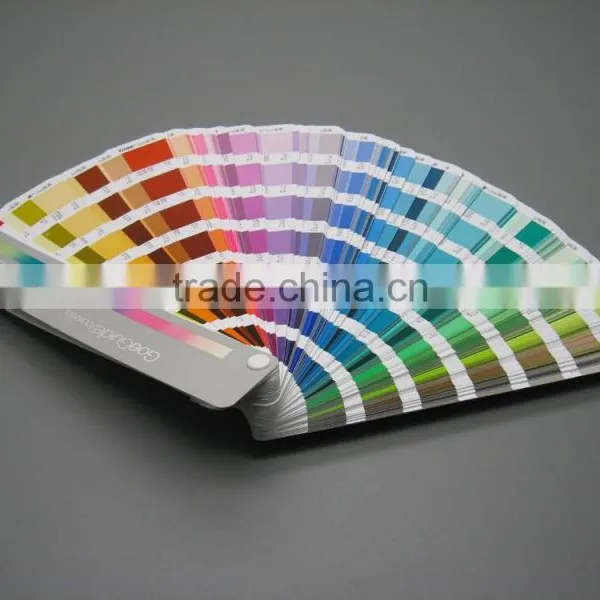 Pantone GoeGuide RGB Value GSGS001 photo-6
