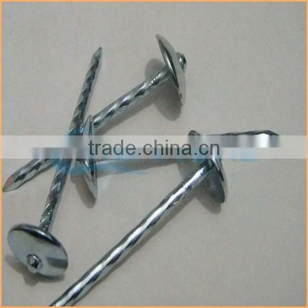 Top Quality Flat Top Yellow Coated Ring/smooth Coil Roofing Nails Trusted Chuanghe Suppliers From Com photo-3