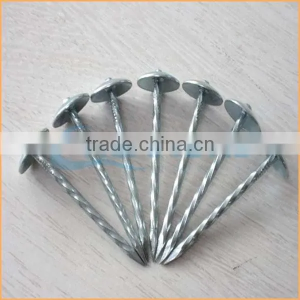 Top Quality 3 Inch Roofing Nail Trusted Chuanghe Suppliers From Com photo-2