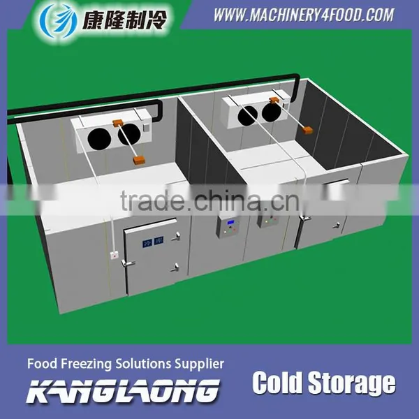 Hot Selling New Technology Container Cold Room photo-4