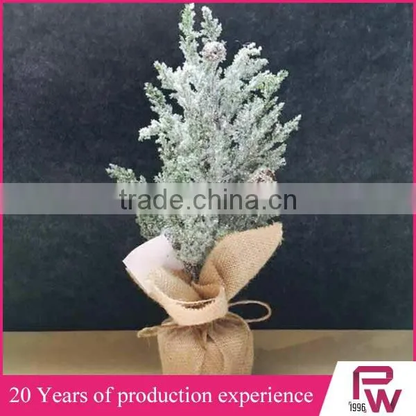 Factory High Quality Wholesale Small Decorative Pine Trees From China Supplier photo-3