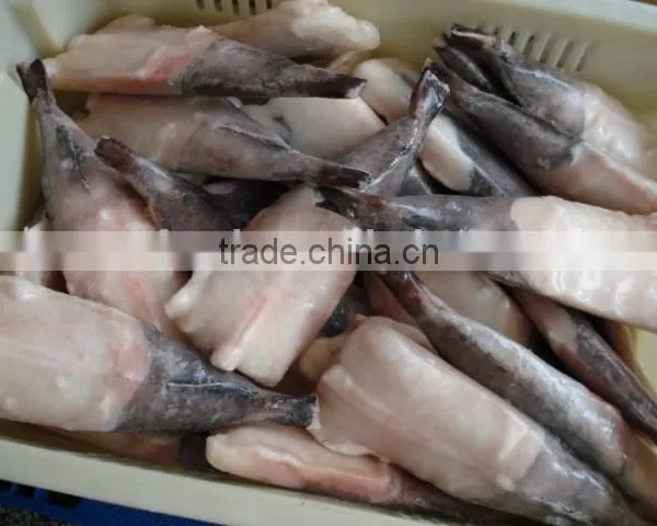 Monkfish photo-2