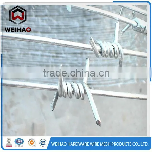 Improved Stainless Steel Barbed Wire photo-3