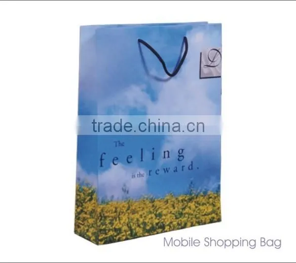 Paper Promotion Bag photo-6