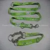 Dog Leash