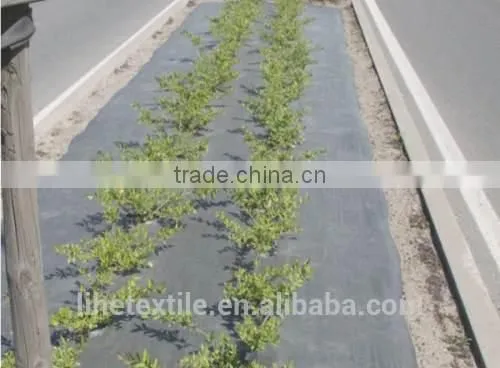 PP Woven Geotextile for Road Construction photo-2