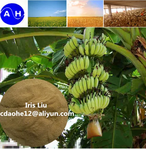 15% Iron Amino Aicd Chelated Organic Fertilizer AminoFe For Mineral Nutrition photo-5