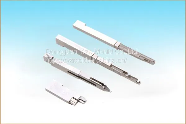 Precision Mold Inserts Procesing Precision Plastic Mold Parts Manufacturer in Dongguan
