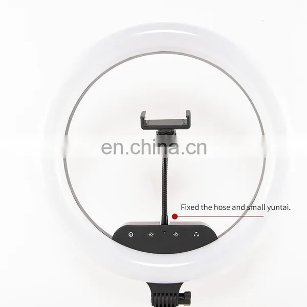 Anchor Beauty Lamp 14 Inch LED Photography Fill Light Ring Light Vibrato Live Makeup Beauty Camera Photo Light photo-4