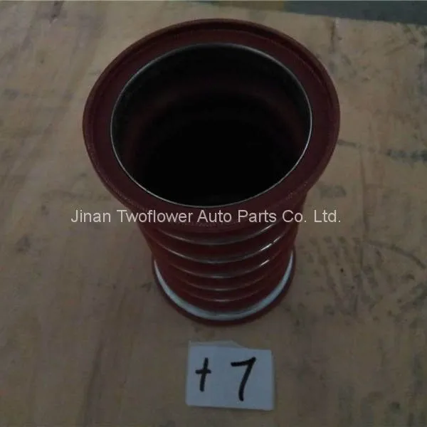 WG9730530011 Intake Hose photo-2