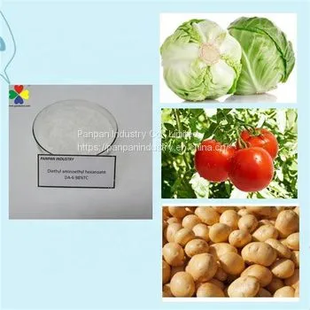 Plant Growth Regulator Da6 Diethyl Amimoethyl Hexanote Da-6 98%tc Powder photo-3