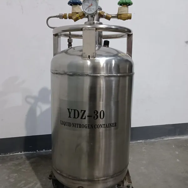 Stainless Steel Liquid Nitrogen Tank YDZ-30 Manufacturer Wholesale Price Discount photo-2