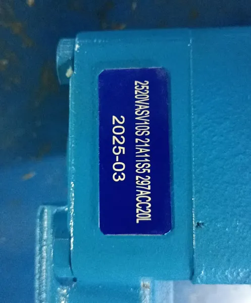 Hydraulic Pump 2520V14A8-1CC22R Hydraulic Pump 2520VQ-17-11-13T 2520VQP21A8S 2520VQ17A11CC20 photo-5