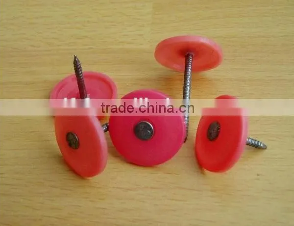 New Concrete Insulation Nails/ Plastic Cap Nail Manufacture photo-4