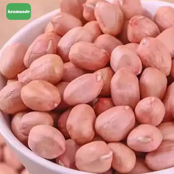 OEM Natural Red Skin Round Red Skin Peanut Kernels 40/50 for Snack Manufacturing