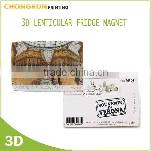 3d Lenticular Fridge Magnet, Custom Souvenir Fridge Magnet photo-2