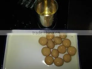 CANNED MUSHROOM (SLICE) photo-4
