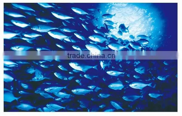 LED Fisher Lamps 250w Led Fisher Lamps 85lm/w 0.96PF 500m Lighting Distance AC85~265V Wide Voltage photo-2
