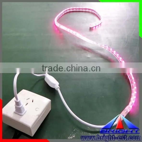 220v LED Strip photo-4