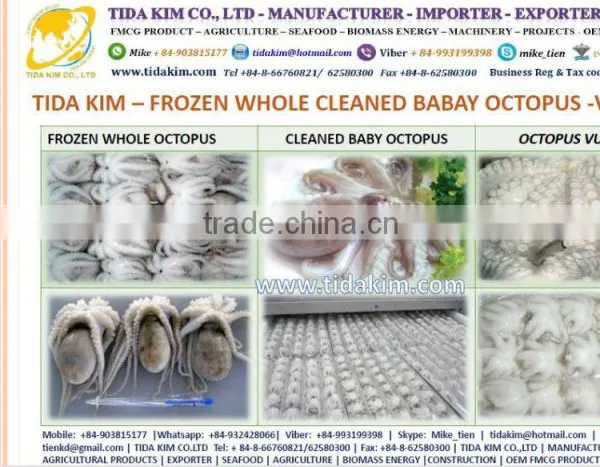 ITOYORI SURIMI MIXED KINTOKIDAI TIDA KIM FRESH FROZEN LOBSTER SHRIMP FISH WHOLE BABY OCTOPUS SURIMI VIETNAM MANUFACTURER ALIVE photo-3