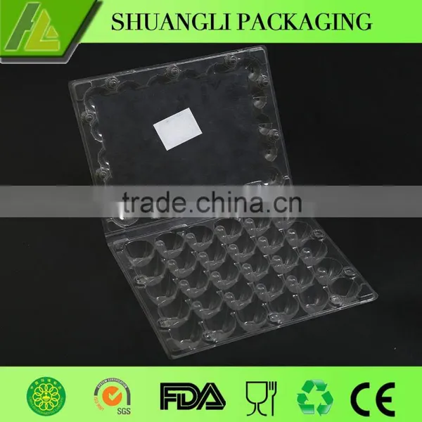 30 Holes Clear Disposable Plastic Quail Egg Packaging Tray photo-2