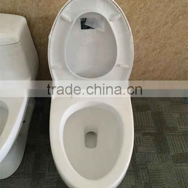 8247 China Bathroom One Piece Siphonic Toilet Bowl photo-4