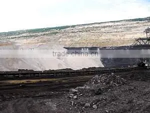 Conveyor Belt for Continuous Ship Unloaders and Shiploading of Bulk Materials photo-4