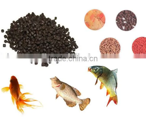 Floating Fish Feed Making Machine photo-6