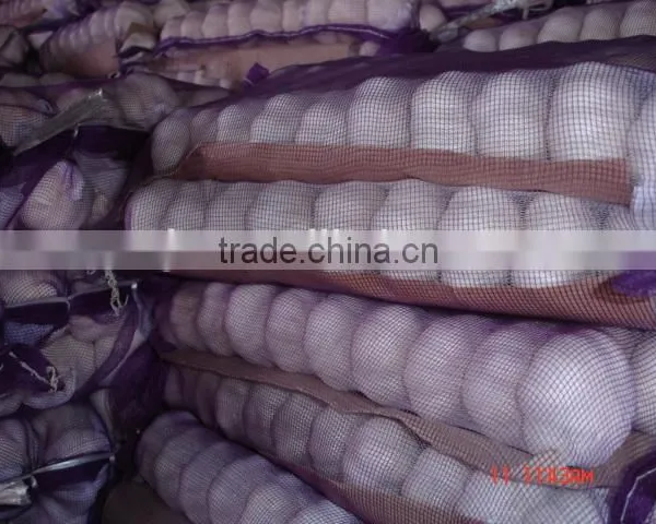 Chinese New White Garlic photo-2