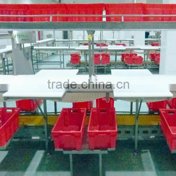 ox Slaughterhouse photo-4