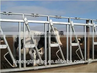 Animal Husbandry Equipment Cows Neck Cangue