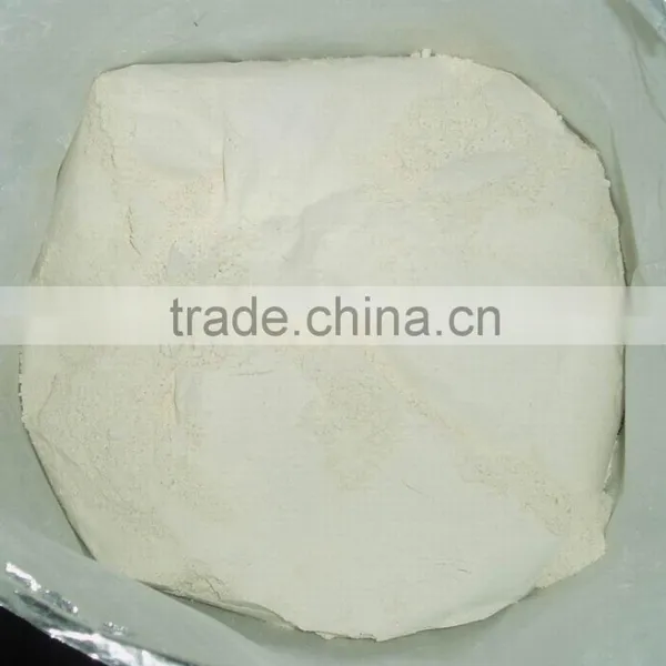 Garlic Powder Garlic Powder Processing Plant photo-3
