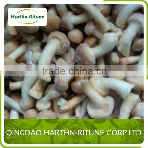 Bulk Frozen Nameko Mushroom Nameko photo-2