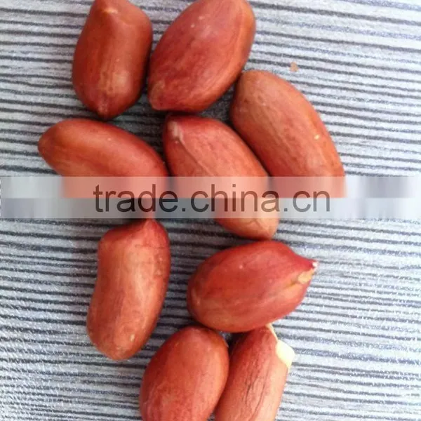 Wholesale Crispy Roasted Peanuts in Red Skin photo-4