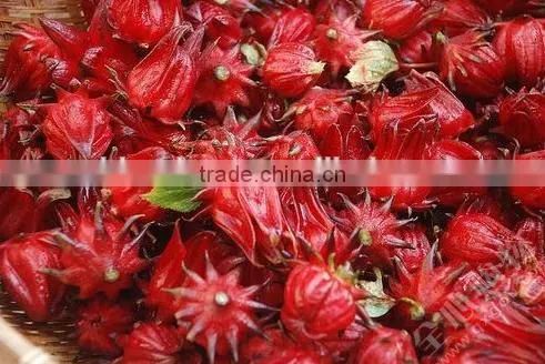GMP Natural High Quality Water Soluble Hibiscus Extract Powder/Roselle Extract Powder photo-5