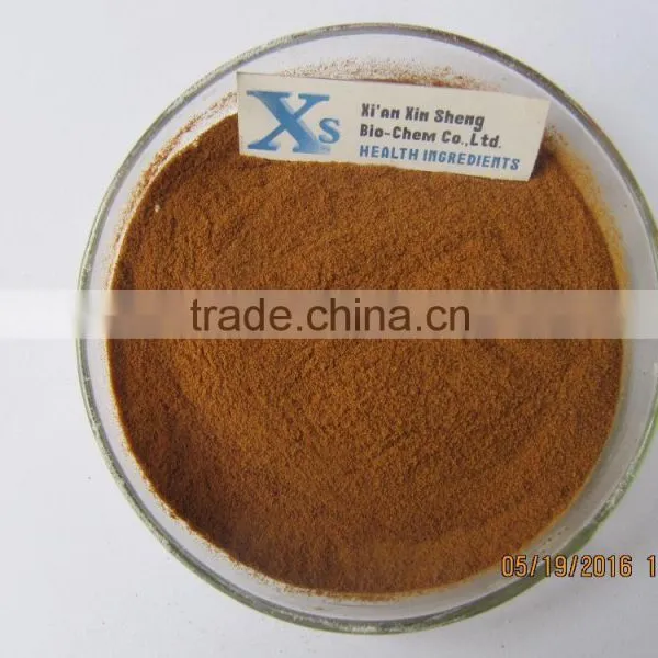 GMP Kosher Natural Cacao Powder/Cocoa Powder