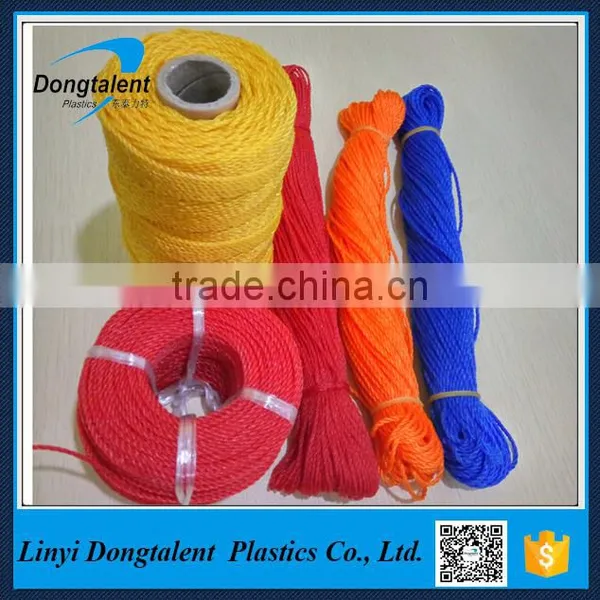 PE Twine Exported to Africa Market photo-3
