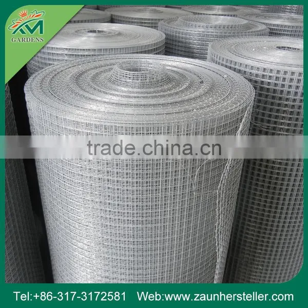 Get $1000 Coupon Metal Wire Mesh Factory, Welded Mesh 10x10 photo-4